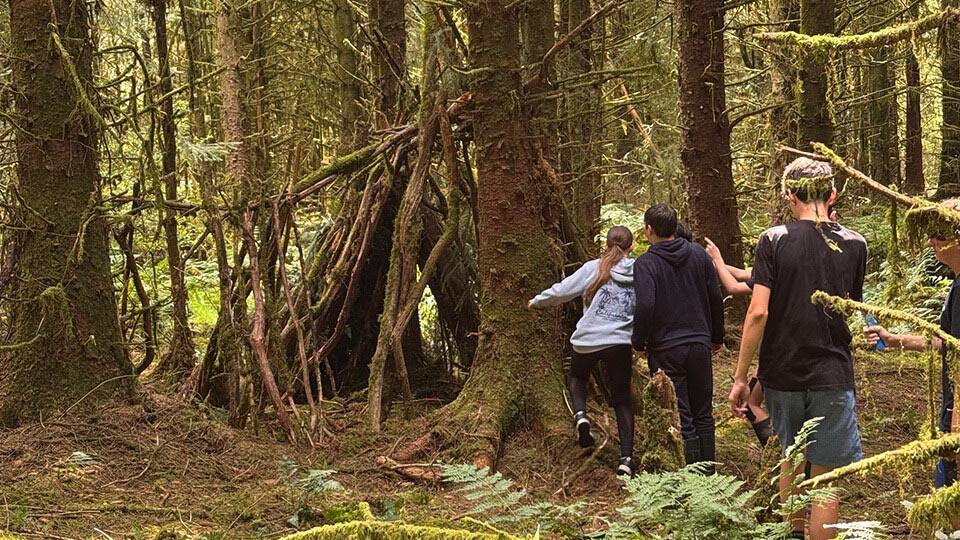 den building in the forest